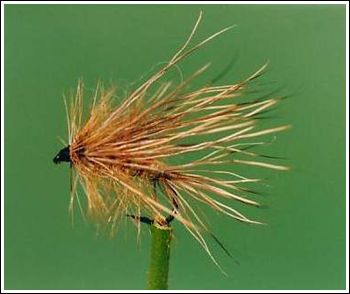 Rados stimulator, Dry fly