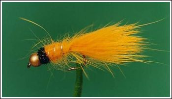 Rumen mini, Mini streamer