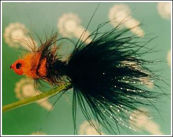 Orange head, Heavy streamer