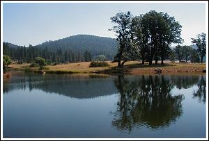 Digger Creek