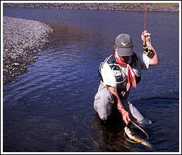 Fångst i Slough Creek. Kenneth Einars 2003 ©