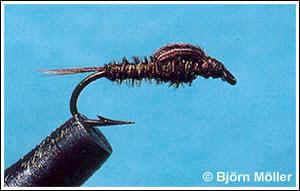 Pheasant Tail Nymph