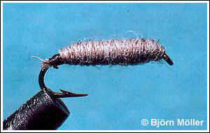 Killer Bug
