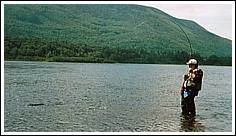 2037.jpg (8669 bytes)