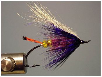 Gold Butt Faux Plum