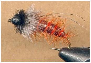 October Caddis Nymph, by Jason Akl
