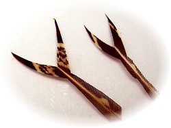 The pinchers