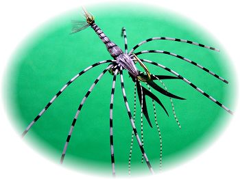 Dark Pearl Gray Mudbug