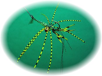 Medium Olive Mudbug