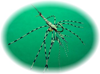 Tan Mudbug