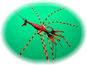 Orange Mudbug