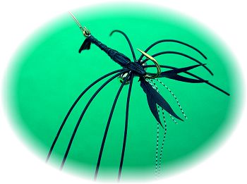 Black Mudbug