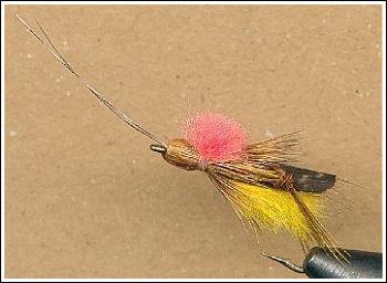 Flopper (the fallen hopper)