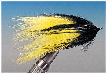 Chartreuse/chartreuse/black Popsicle, foto av Lennart Bergqvist ©