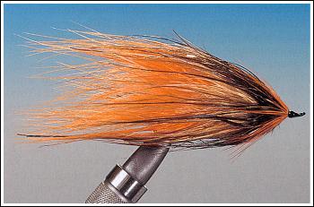 Orange/cinnamon/brown Popsicle, foto av Lennart Bergqvist ©
