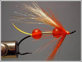 Double-Egg Sperm Fly