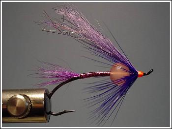 The Rajah (Plum Variant)