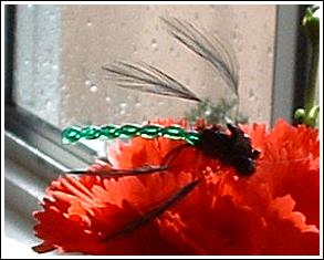 Jay’s Jewelwing by Jason Akl