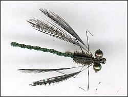 Jay’s Jewelwing by Jason Akl
