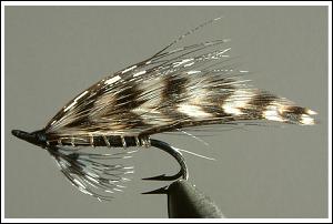 Stream Fly (Strujnaja),  photo by Jurij Shumakov
