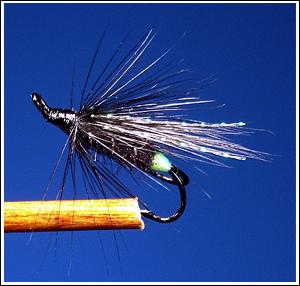 Unnamed 004 (PH fly), photo by Jurij Shumakov