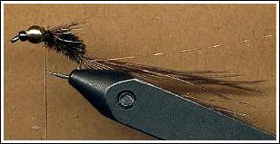 Step 6.
