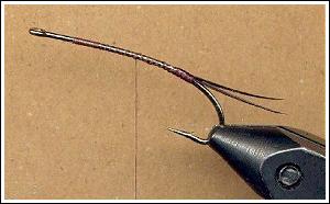 Step. 1. PT Stone fly, by Jason Akl