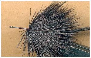 Step. 3. PT Stone fly, by Jason Akl