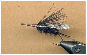 Step. 5. PT Stone fly, by Jason Akl