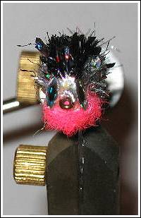 Christmas Minnow, front view