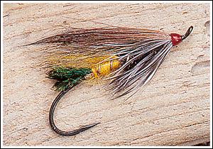 Rusty Rat variant med brun vinge