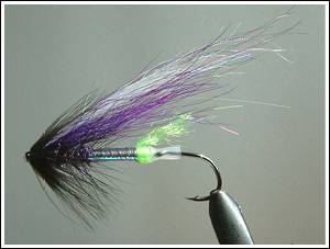 Purple Stranger