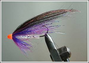 Purple Red Coneheader
