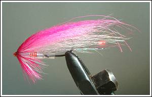 Barbie Fly