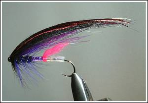 Steely #1