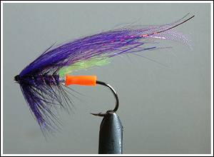 Purple Overtaker