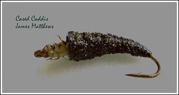 Cased Caddis, by James Matthews