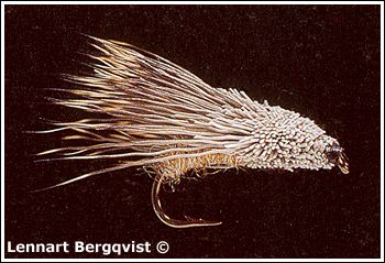 Photo: Lennart Bergqvist ©