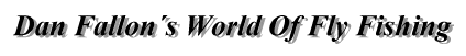 Dan Fallon's World of Fly fishing