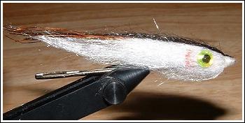Marengo Minnow, by Jason Akl