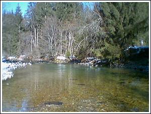 Rok Lustrik © 2005