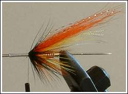Step 20b