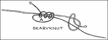 Skarvknut
