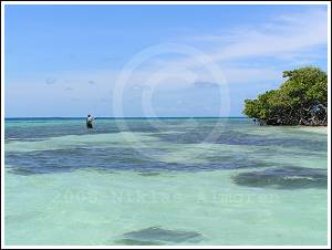 Lagunfiske, Los Roques