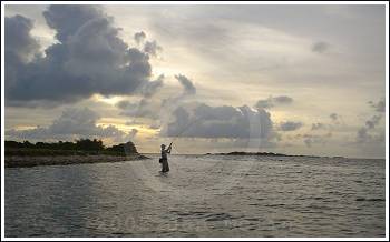 Foto Jan Melin 2005 ©