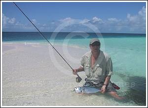 Foto: Trygve Rolfsnes 2005 ©