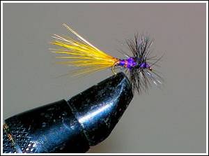 MELLOW YELLOW ATTRACTOR