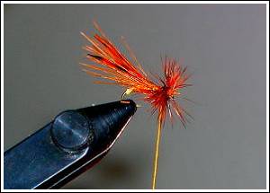 MAHOGANY KILLER CADDIS