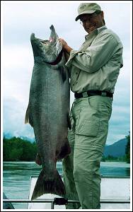 Terrace BC Chinook, by Jack Lundberg © 2005