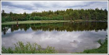 Sömåa. Foto: Mats Sjöstrand © 2005